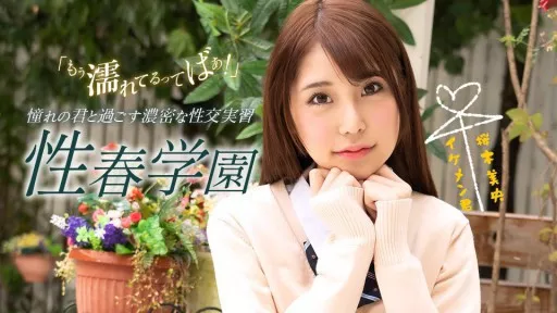 Sex spring school Mio Sakuragi