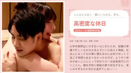 high density holiday